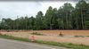 793 Furys Ferry Rd photo